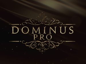 Dominus Choir Pro
